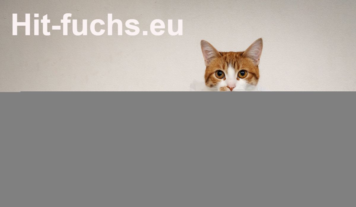 hit-fuchs.eu